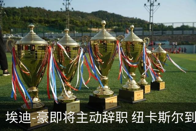 埃迪-豪即将主动辞职 纽卡斯尔到底发生了什么？