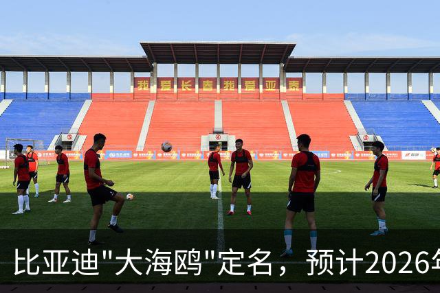 比亚迪"大海鸥"定名，预计2026年底上市